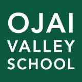 OVS Logo
